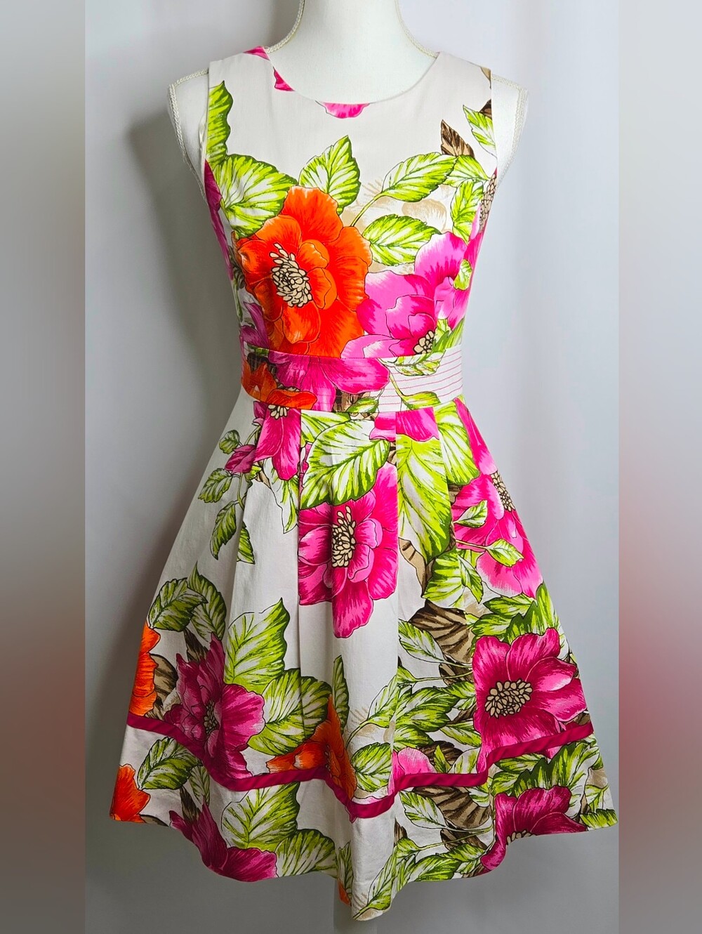 Eliza J Wedding Guest Artistic Botanical Floral Fit & Flare Dress NWOT Size 6